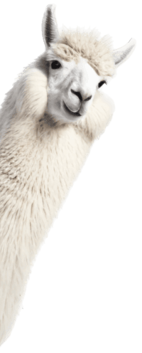 Llama