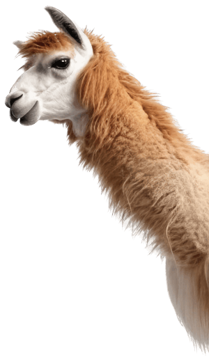 Llama